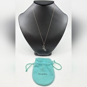 Tiffany & Co. Sterling Silver Enchant Dragonfly Pendant Necklace